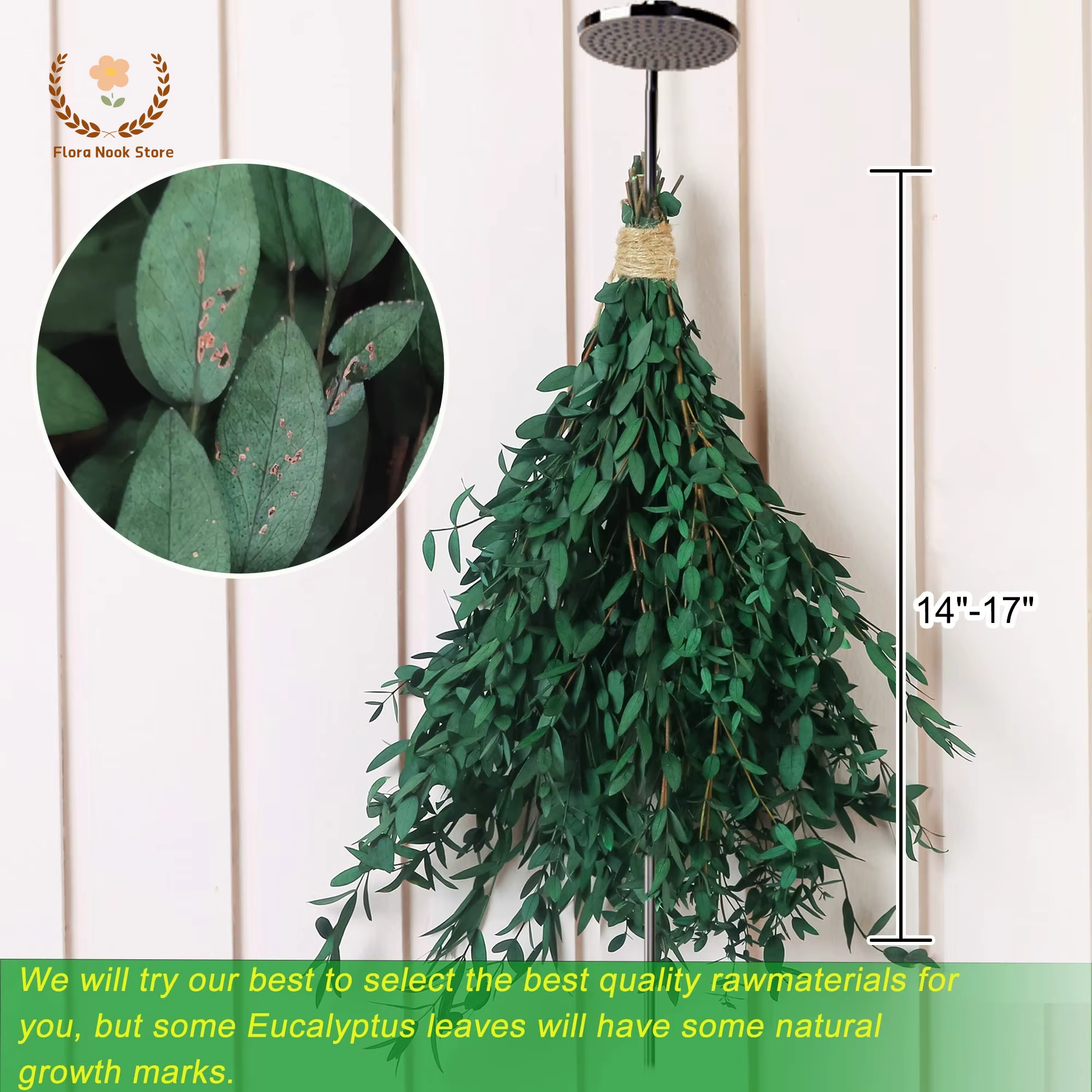 Bouquet de feuilles d'eucalyptus naturelles