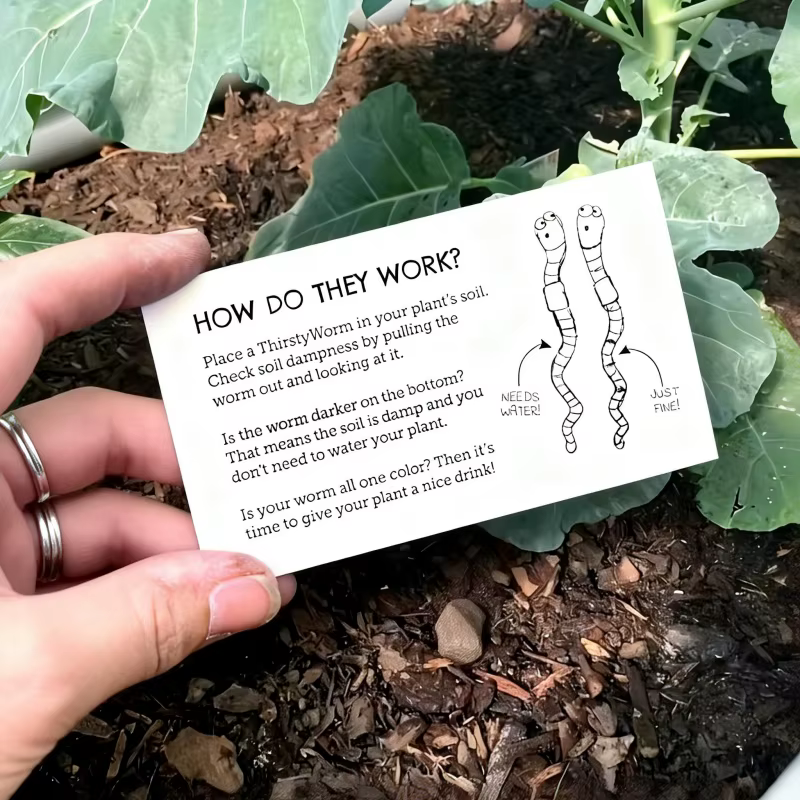 Jardinière amusante en forme de vers de terre