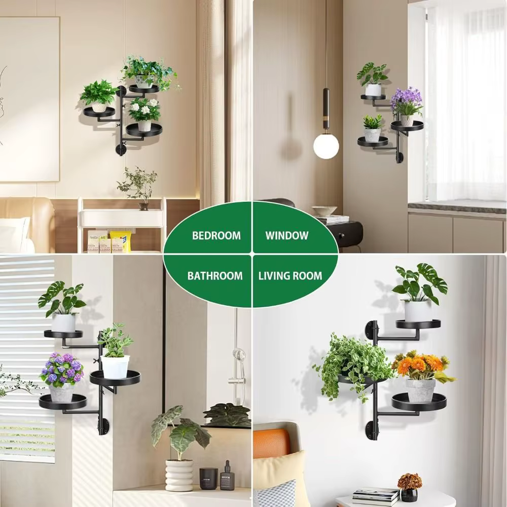 Support de plantes rotatif pour fenêtre