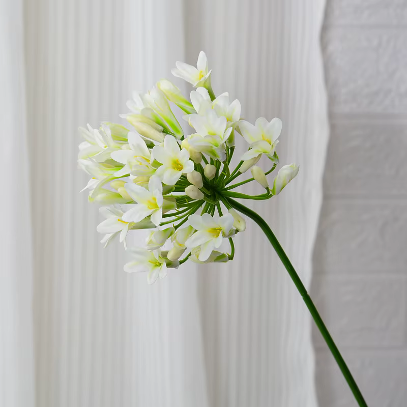 Fleurs artificielles de luxe Agapanthus africain à longue tige de 75 cm pour mariage