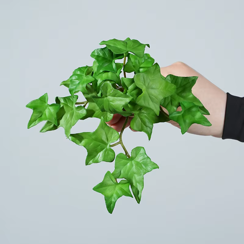 Plantes vertes succulentes artificielles