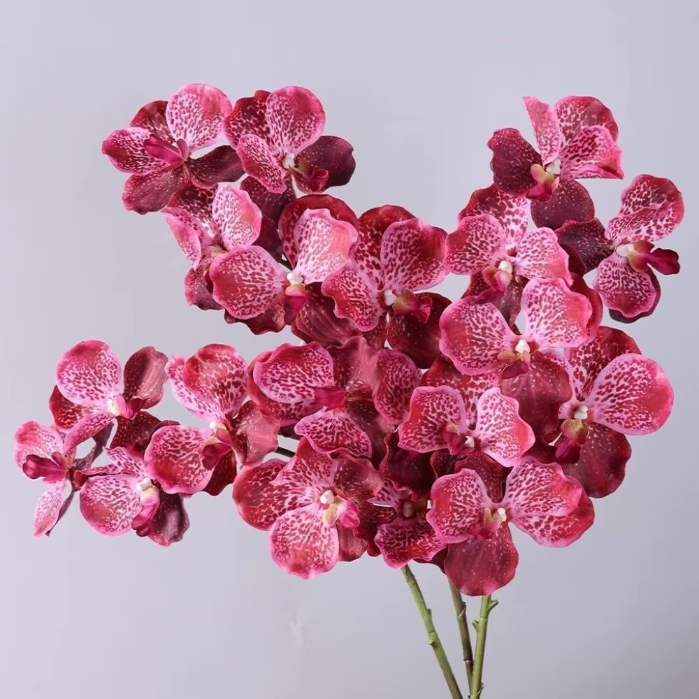Orchidée Vanda Artificielle de 80 CM en Plastique