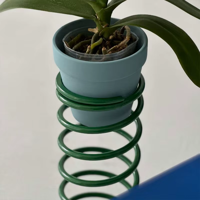 Étagères créatives pour plantes de printemps