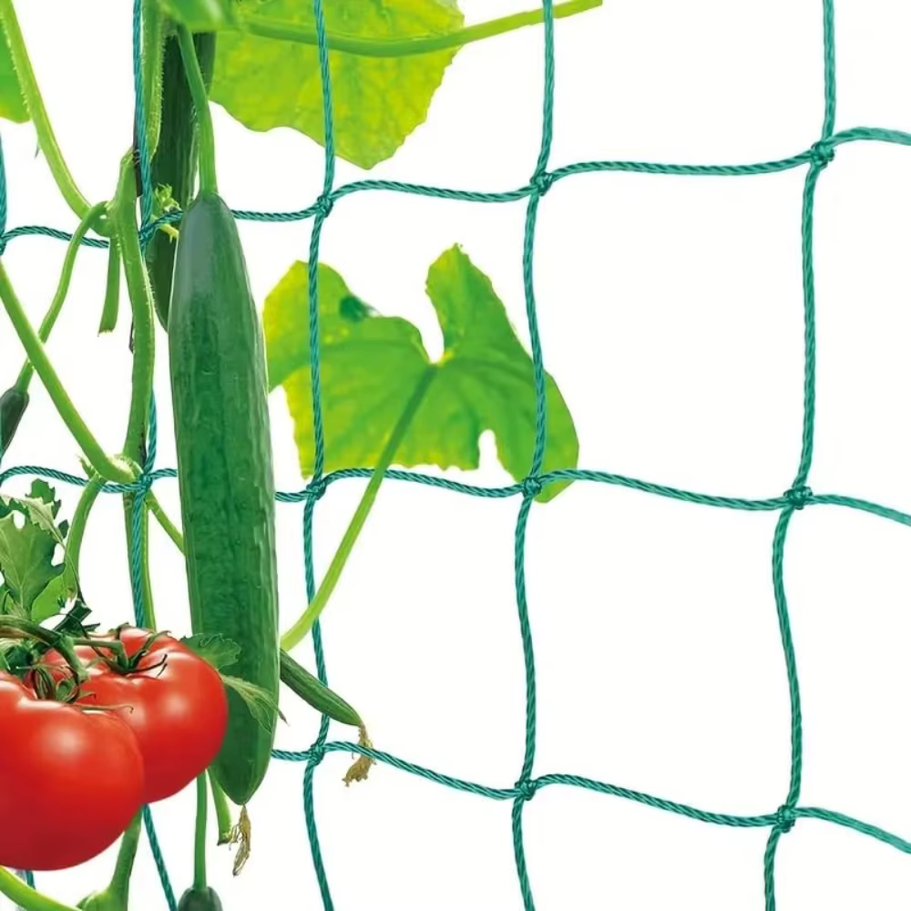 Filet de treillis en nylon pour plantes grimpantes de jardin