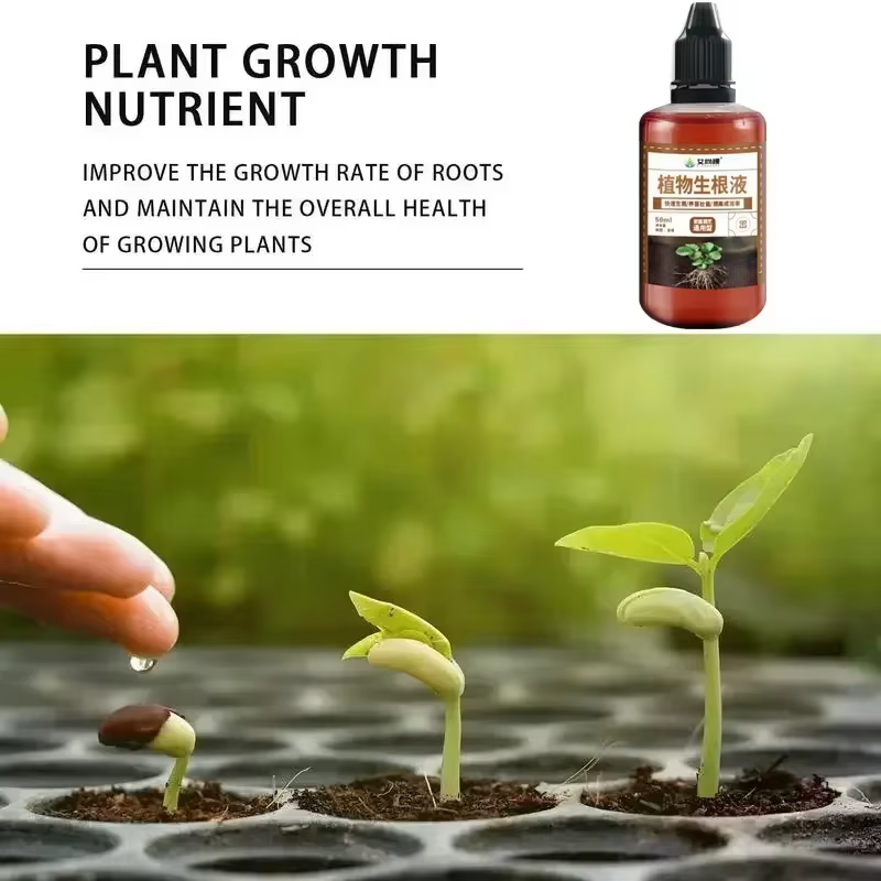 Stimulateur d'enracinement rapide pour plantes