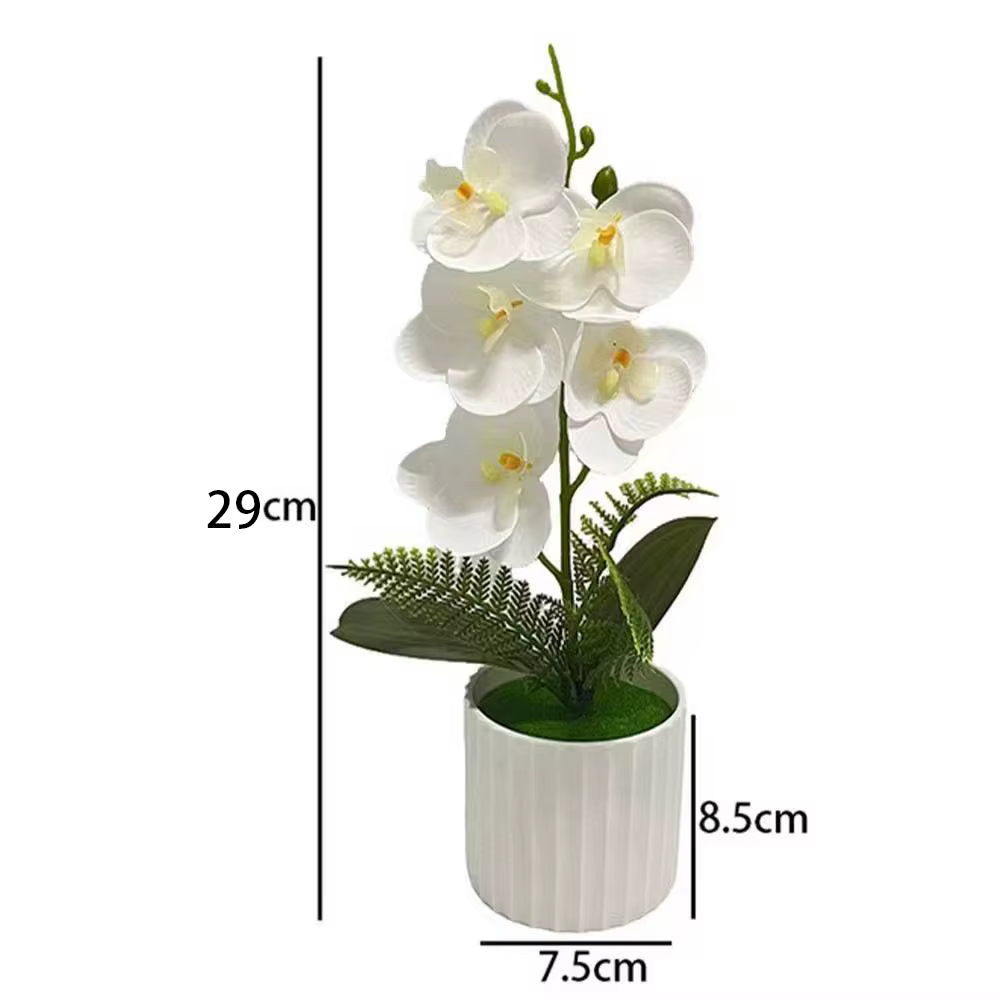 Pot de barre verticale avec 5 orchidées papillon