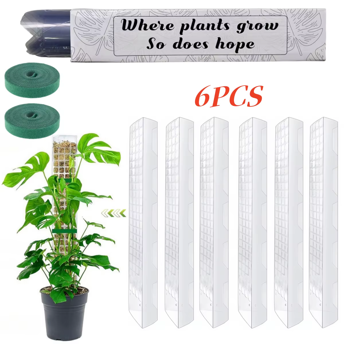 Support de Plantes en Plastique pour Plantes Grimpantes d'Intérieur