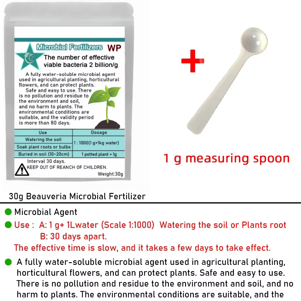 Beauveria – engrais microbien entièrement soluble dans l'eau