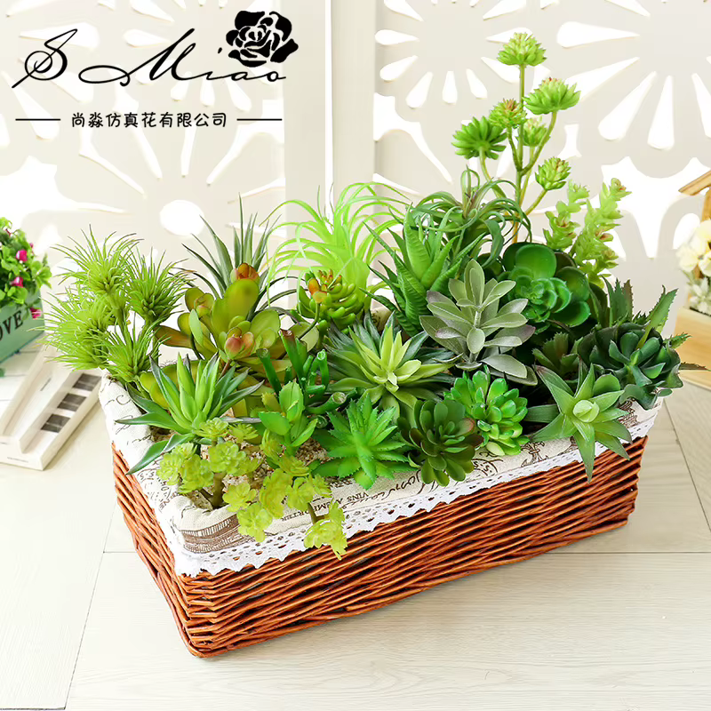 Plantes succulentes artificielles vertes bonsaï