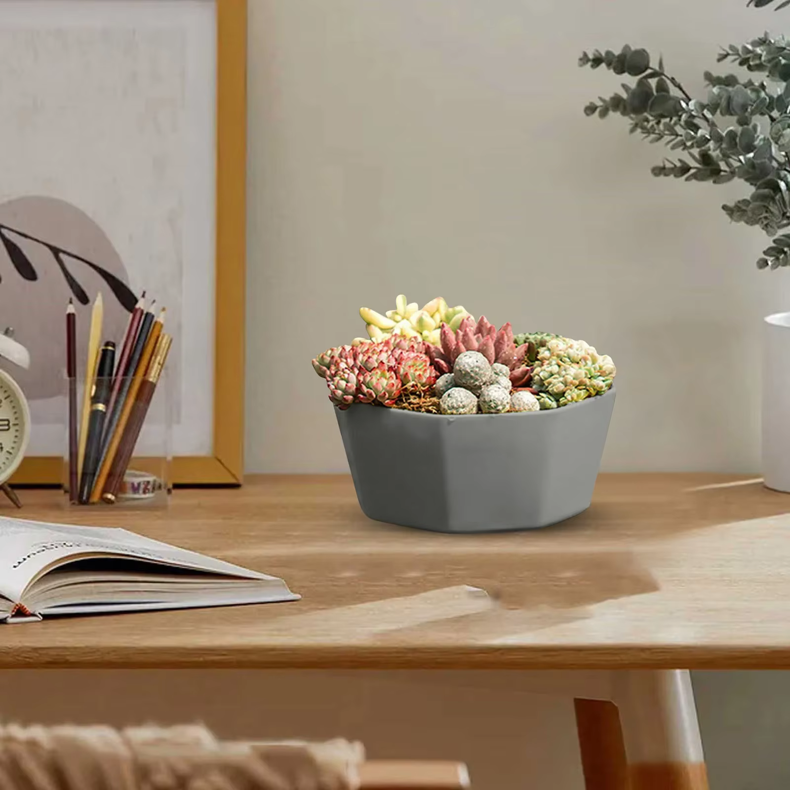 Pots de fleurs d'intérieur en plastique