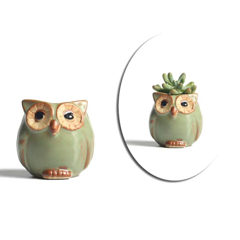 Pot de jardinière succulente mignon
