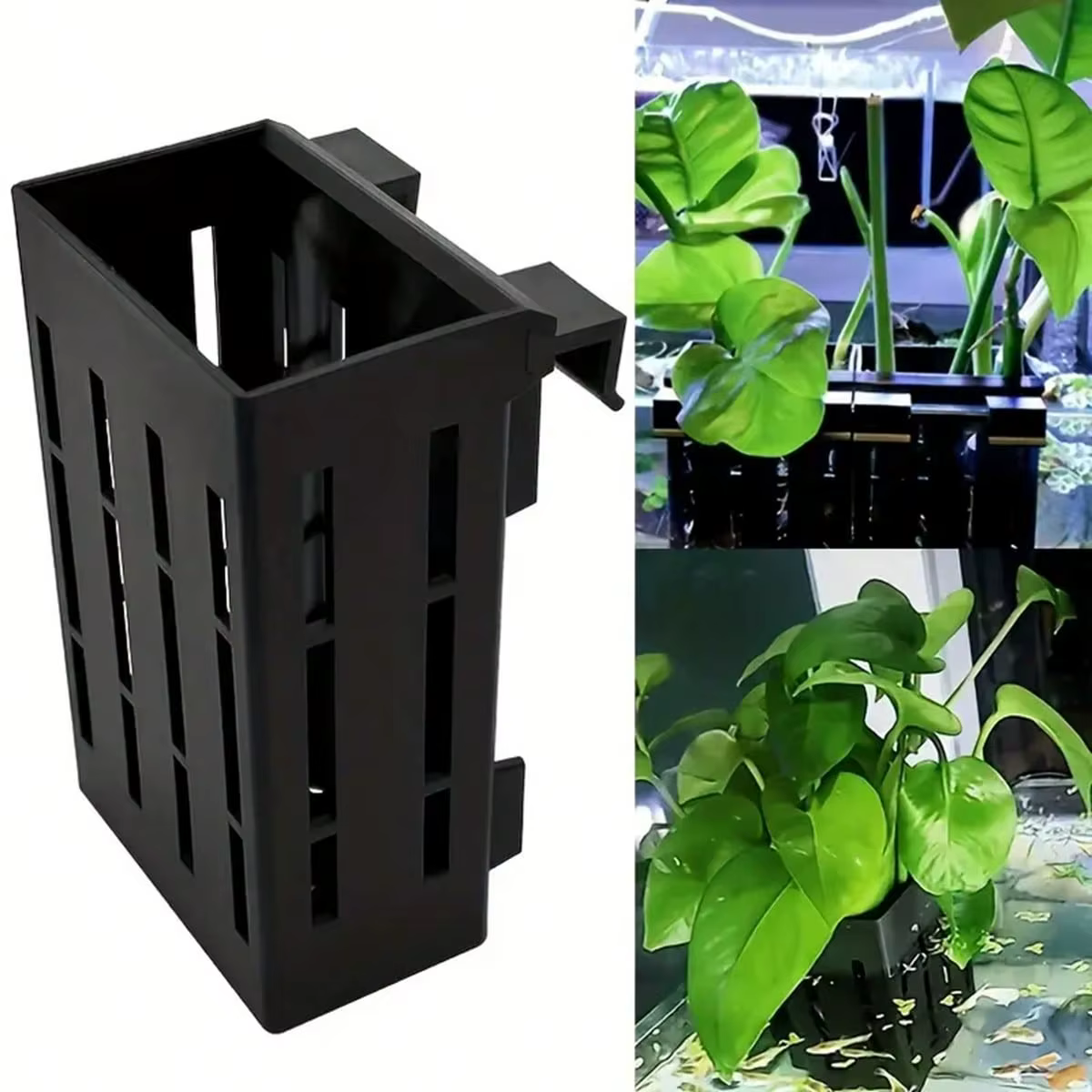 Support pour plantes d'aquarium