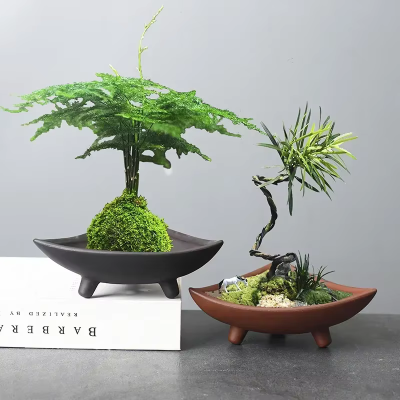 Pots de fleurs en céramique pour bambou