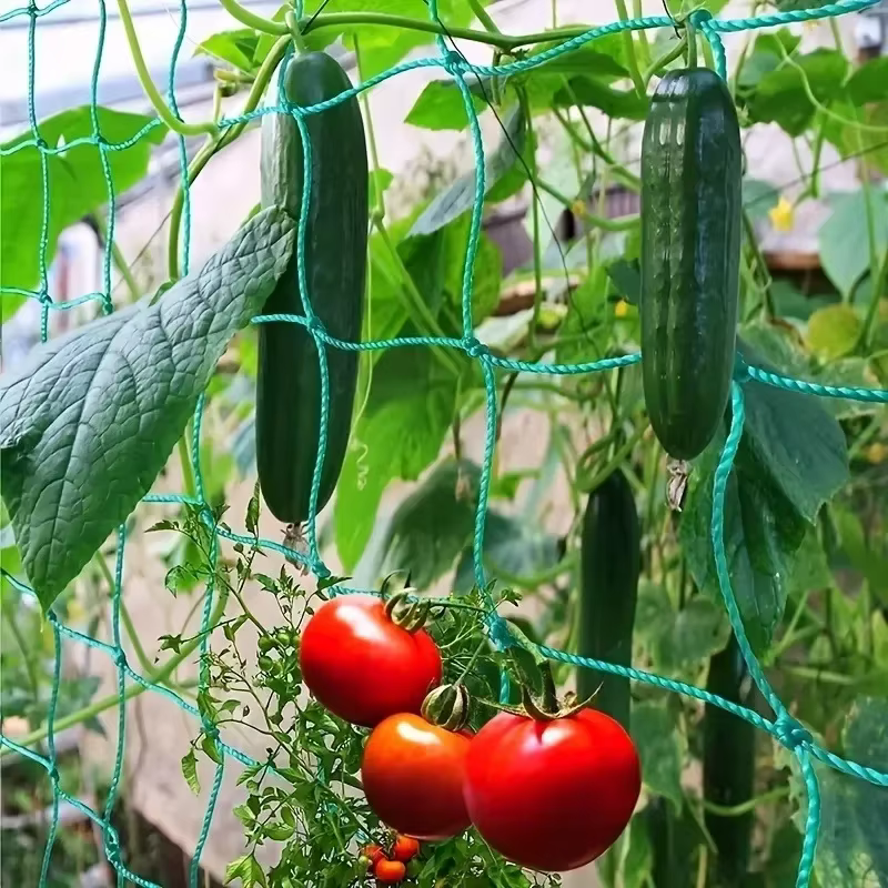 Filet d'escalade pour plantes de jardin