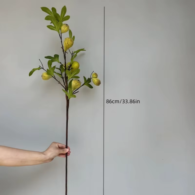 Branche de fausse figue avec fruit