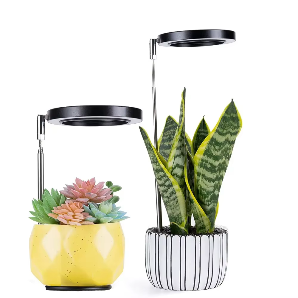 Lampe de culture LED à spectre complet pour plantes d'intérieur