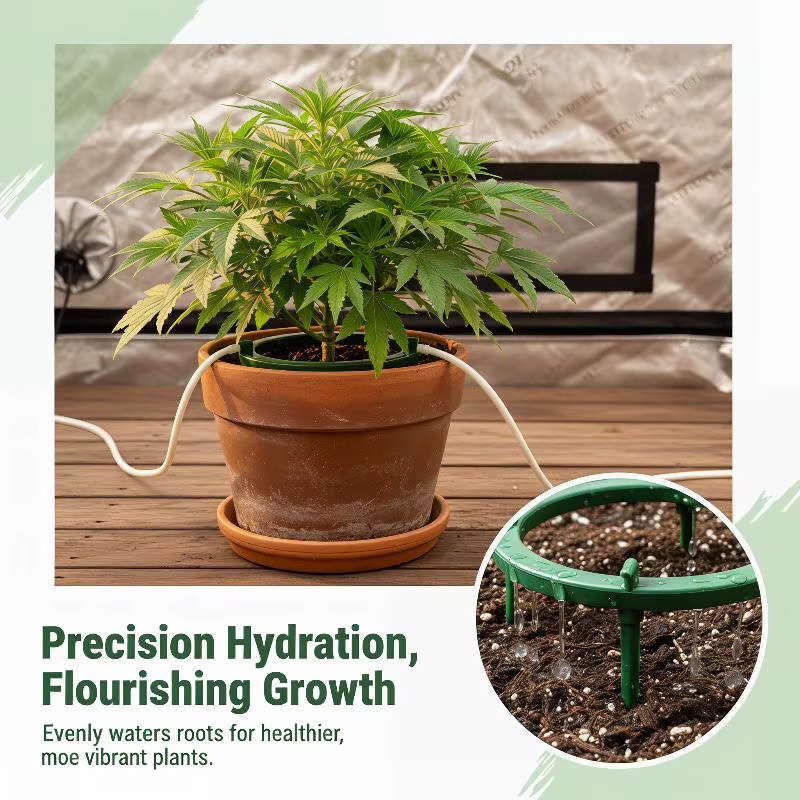 Anneau d'irrigation goutte à goutte pour plantes