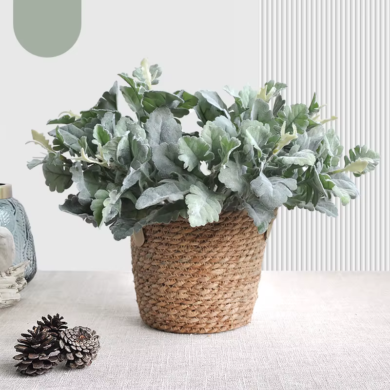 Plante artificielle de Senecio Cineraria