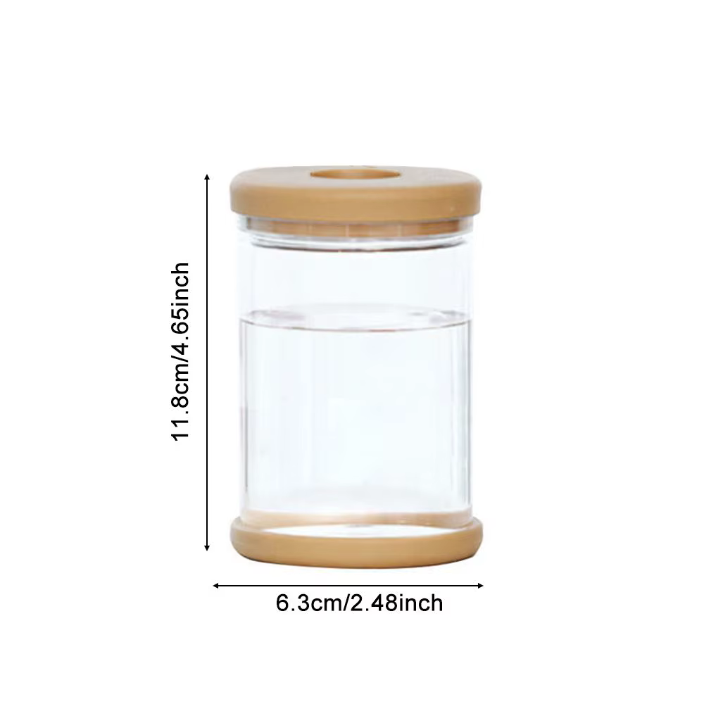 Vase hydroponique en plastique transparent pour la décoration de la maison