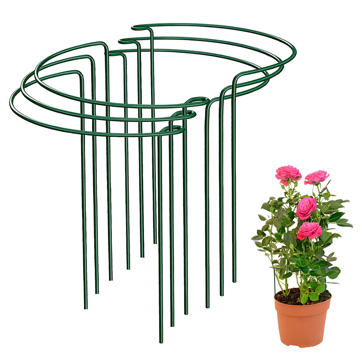 Piquets de Support pour plantes en métal