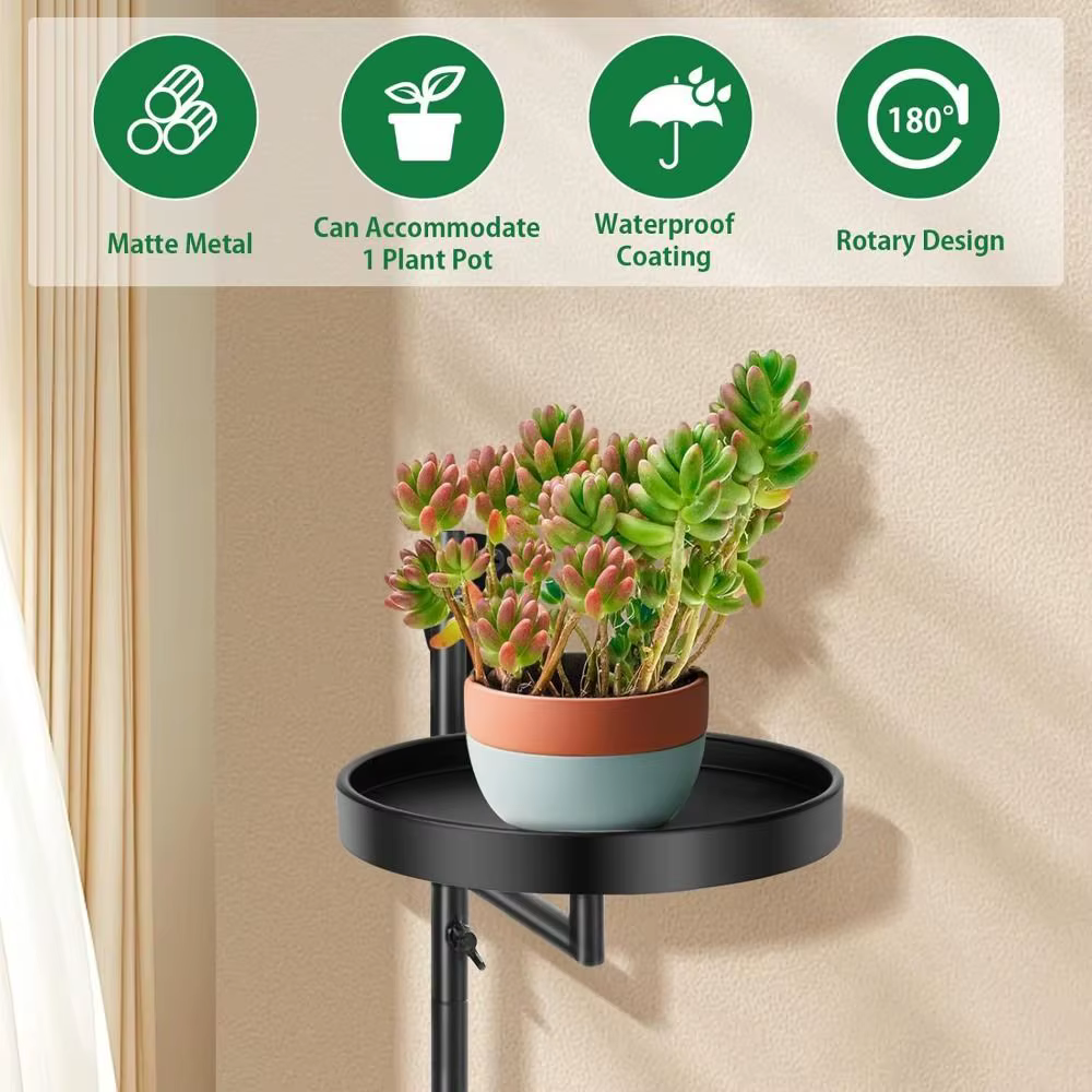 Support de plante de fenêtre rotatif en pot de plante verte