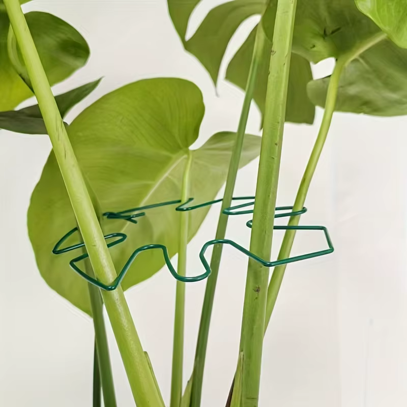 Support de plante stabilisateur