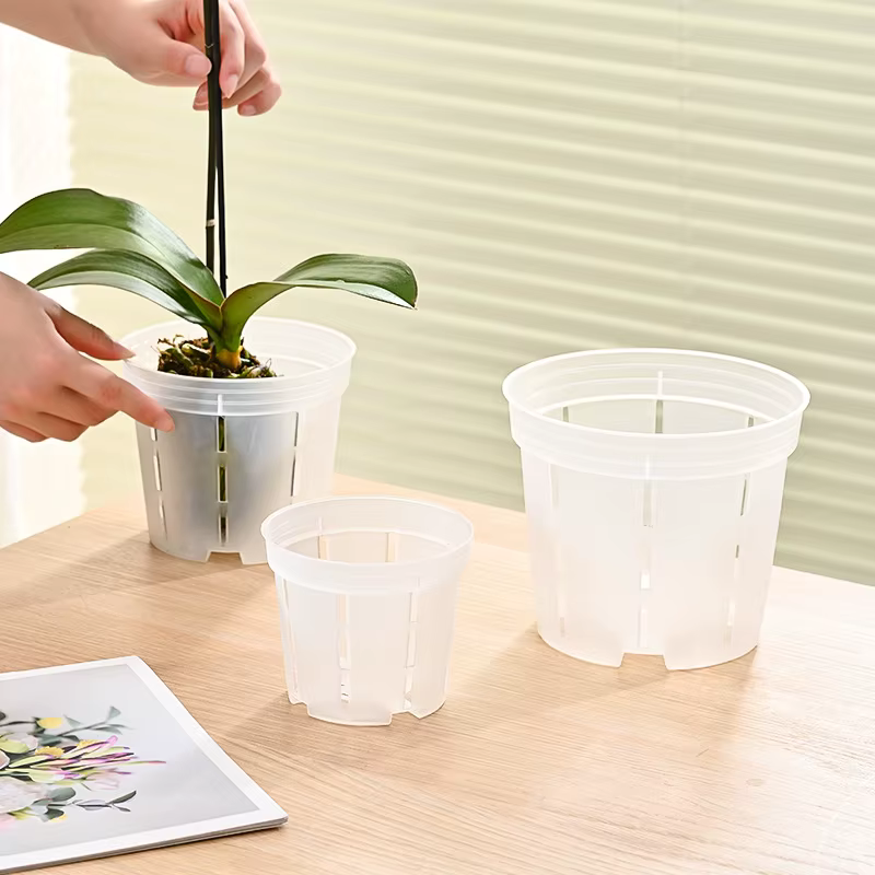 Pots d'orchidées en plastique