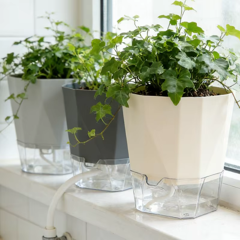 Pots de plantes auto-arrosants