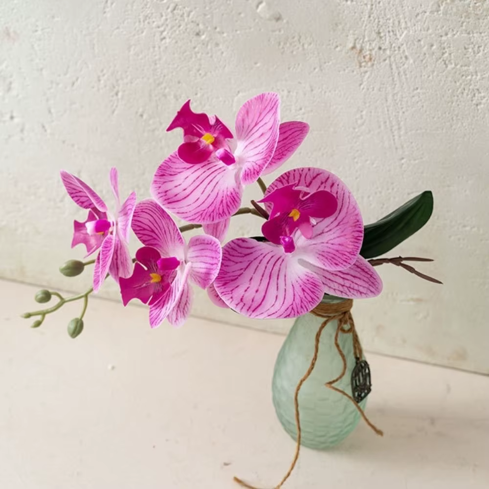 Orchidées Phalaenopsis artificielles réalistes en tissu