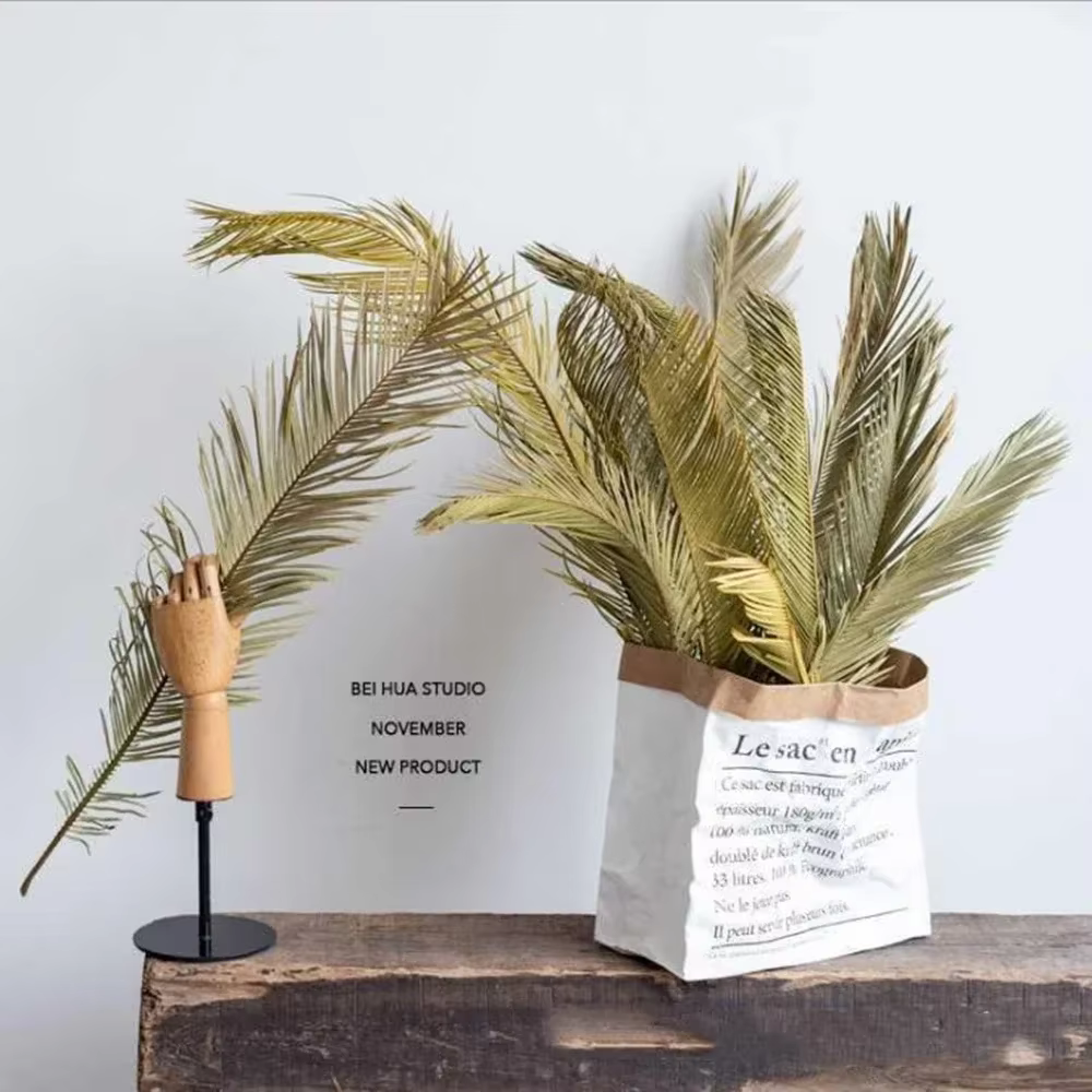 Branche de Sago Cycas de plantes naturelles séchées