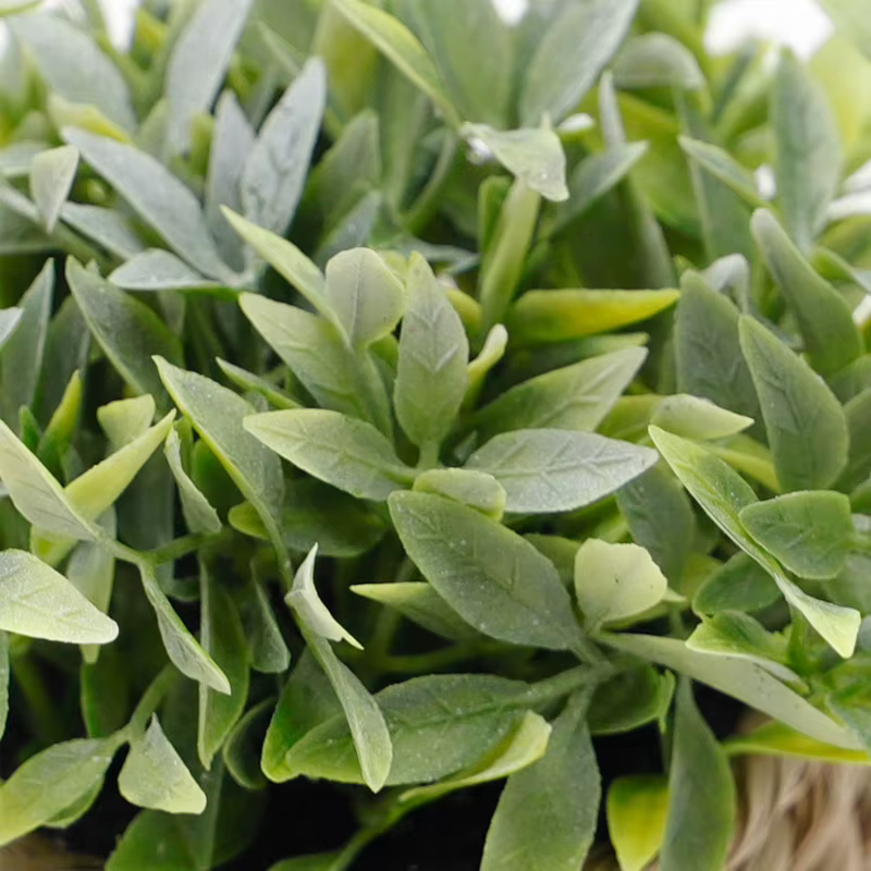Plante artificielle verte en pot