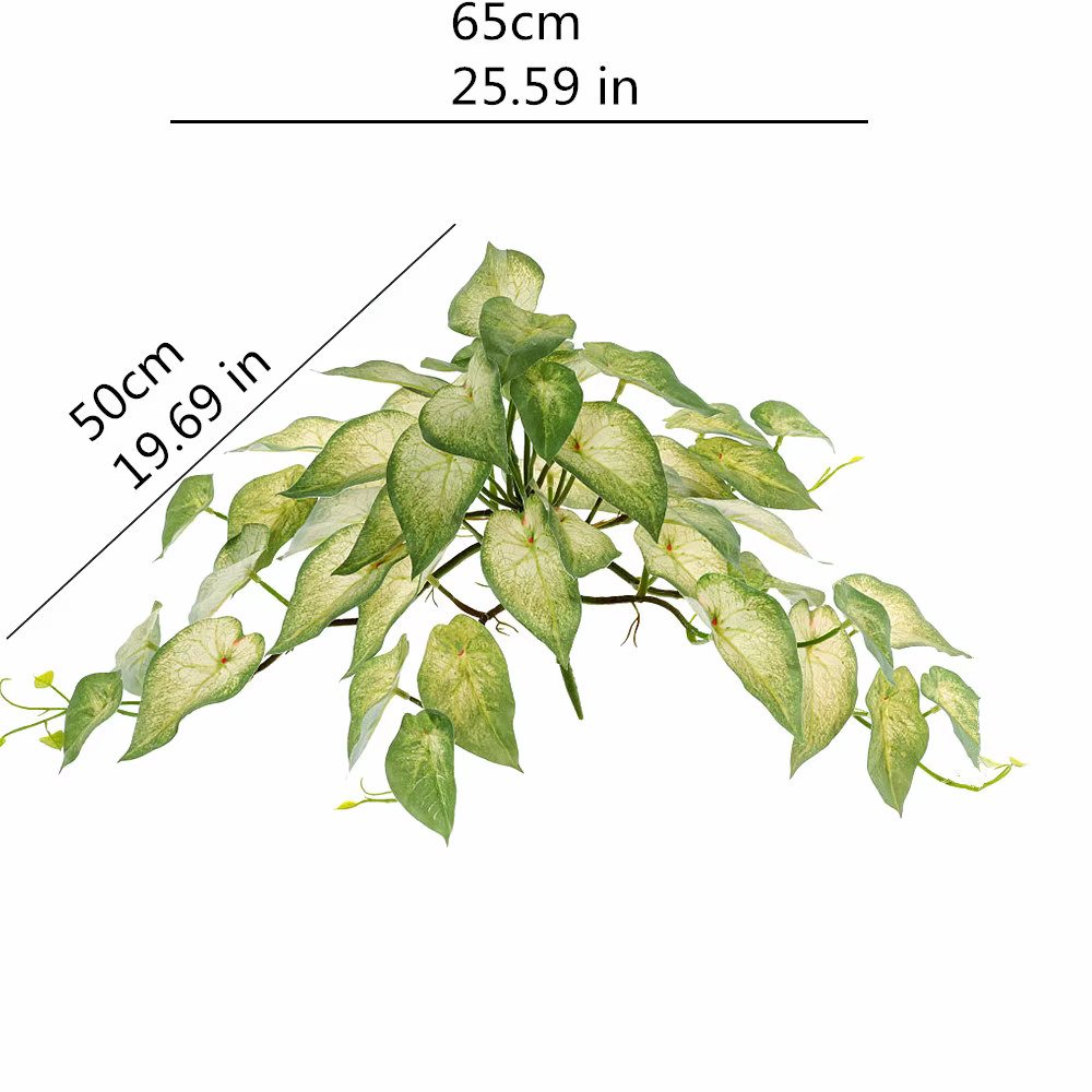 Simulation de Plantes Artificielles Rares
