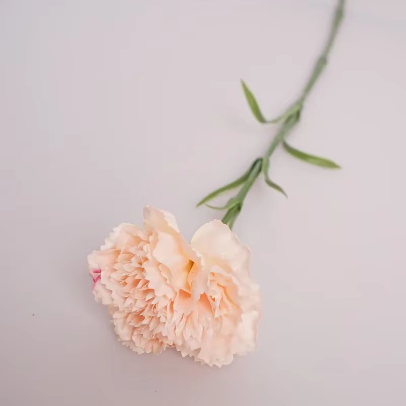 Cœillets artificiels en Latex hydratant