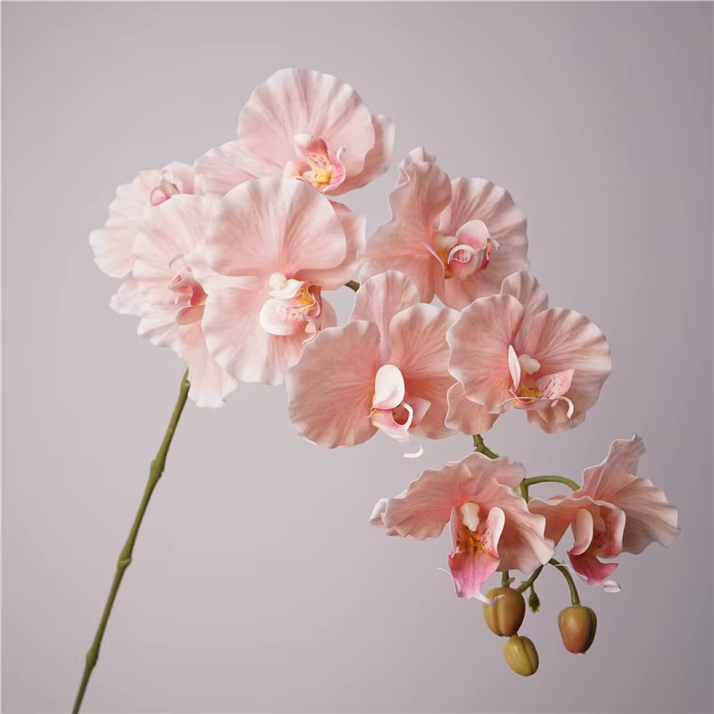 Fausses fleurs en film latex phalaenopsis
