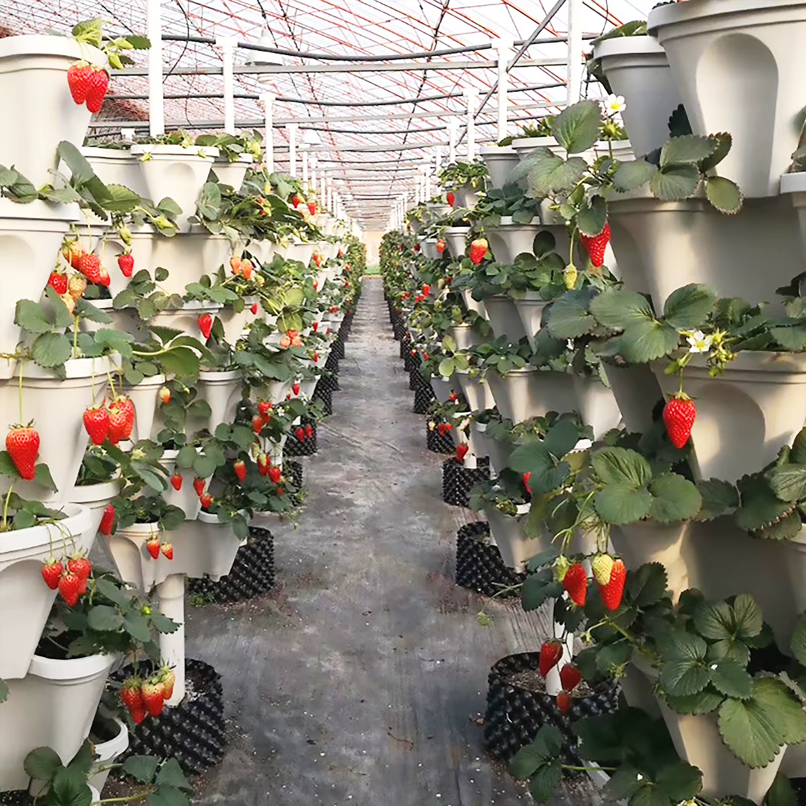Jardinières verticales empilables pour la plantation de fraises dans le jardin