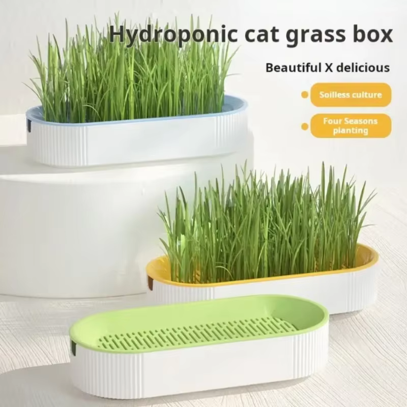 Kit de culture hydroponique d'herbe à chat pour chats