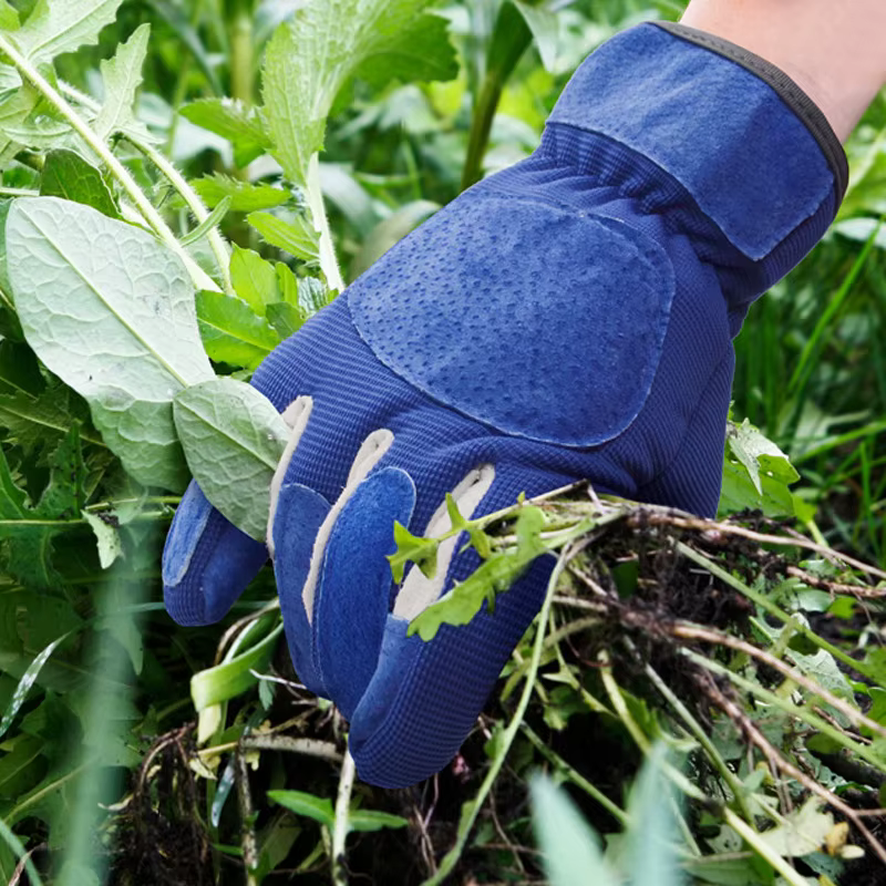1 paire de gants de jardinage