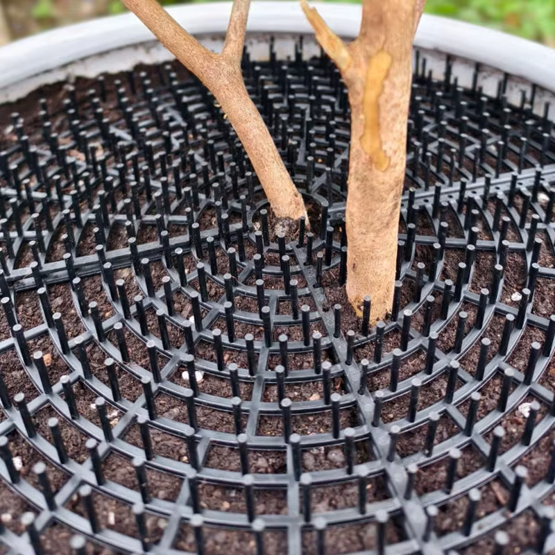 Protecteur de sol pour pot de plantes à double usage avec grilles découpées à pointes