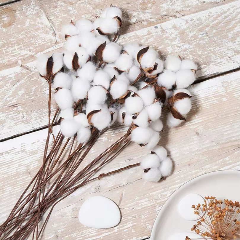 Plantes artificielles en coton naturel