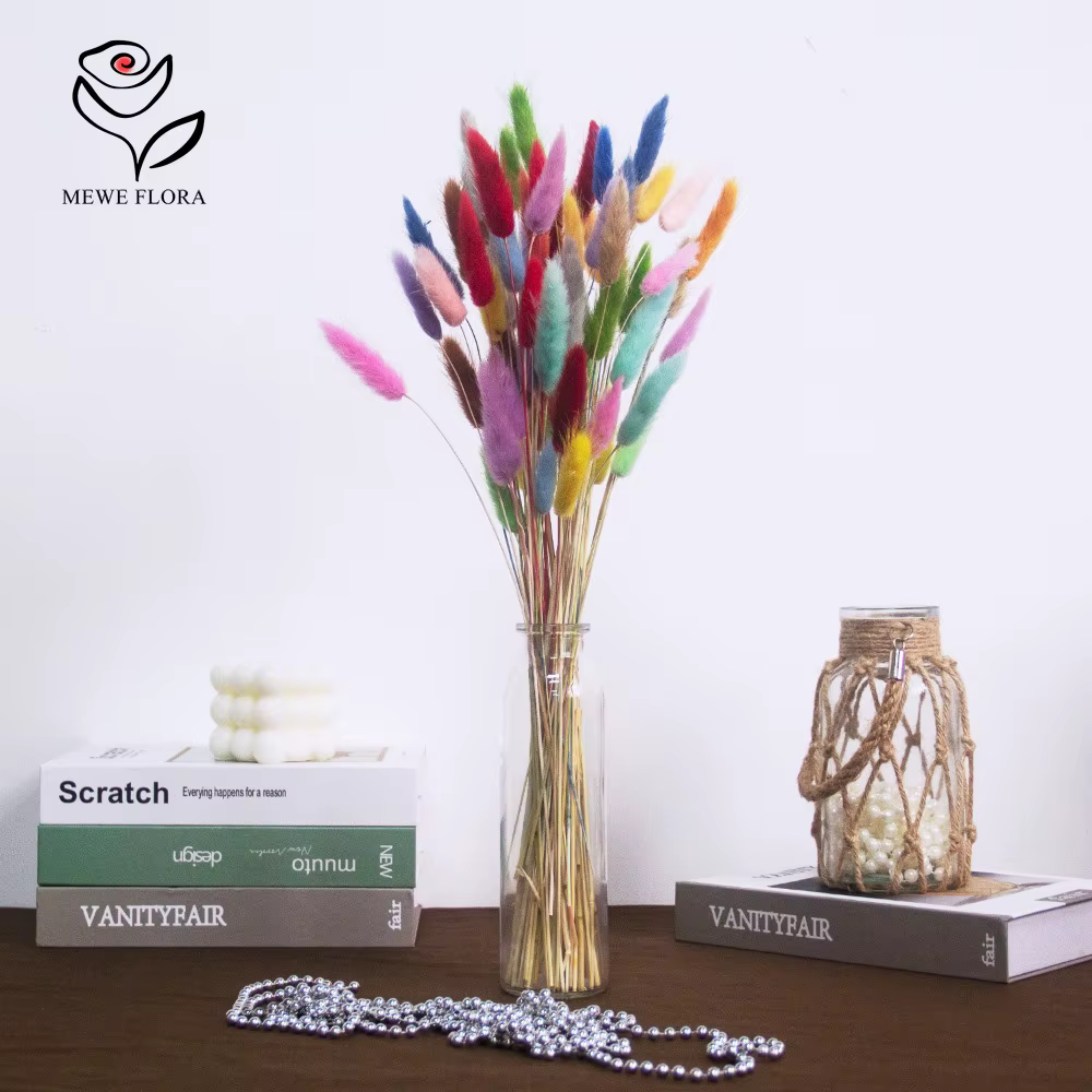 Vraies queues de lapin fleurs séchées mélangées 60 tiges Lagurus Ovatus herbe Pampas Bouquet pour mignon Boho maison mariage décor Photo accessoires