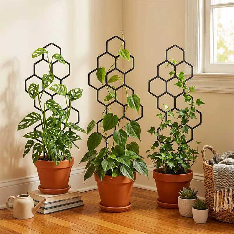 Treillis pour plantes grimpantes