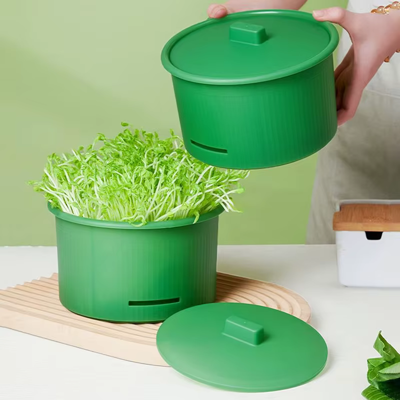 Bac de germination pour graines