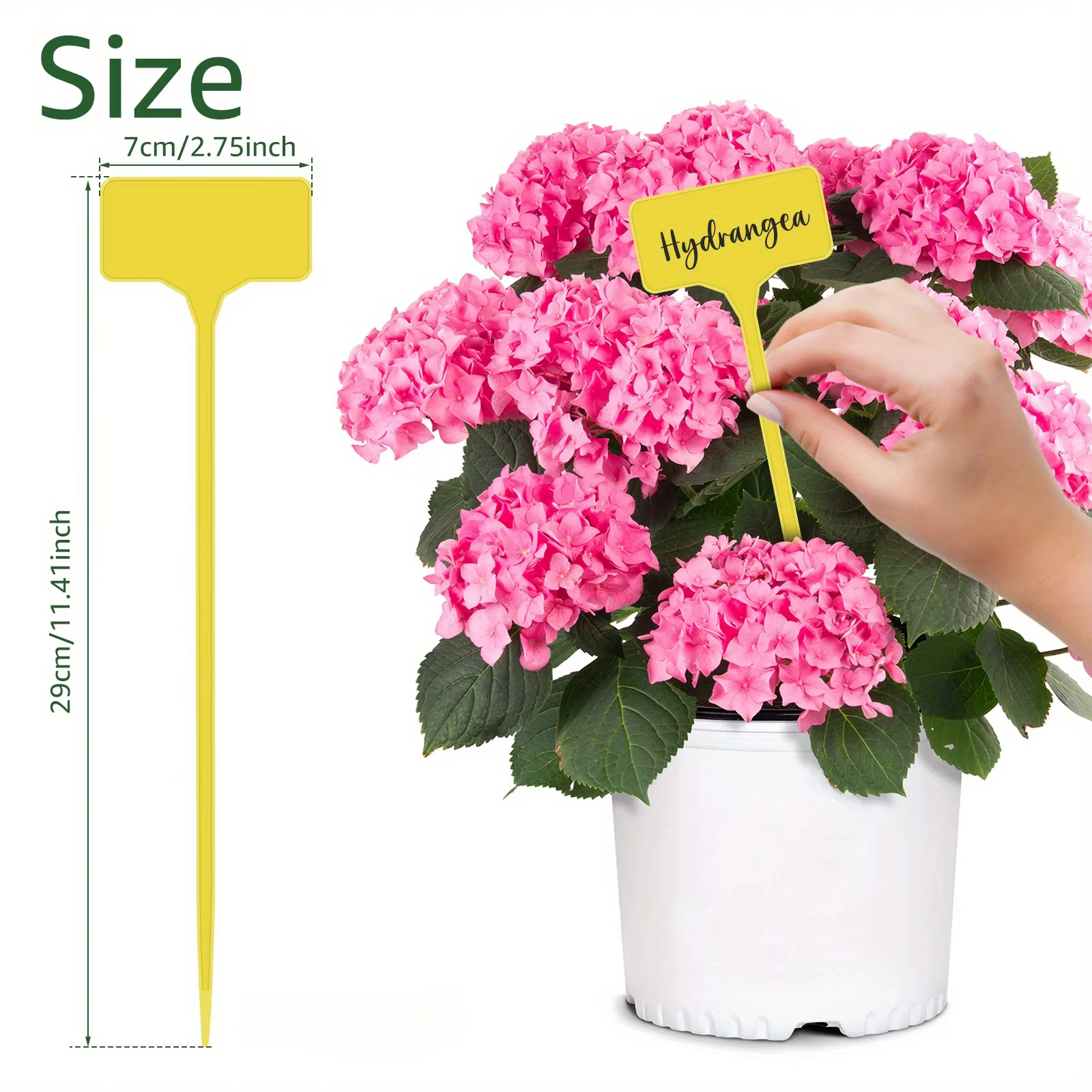 Étiquettes de plantes de jardin en plastique de Type T