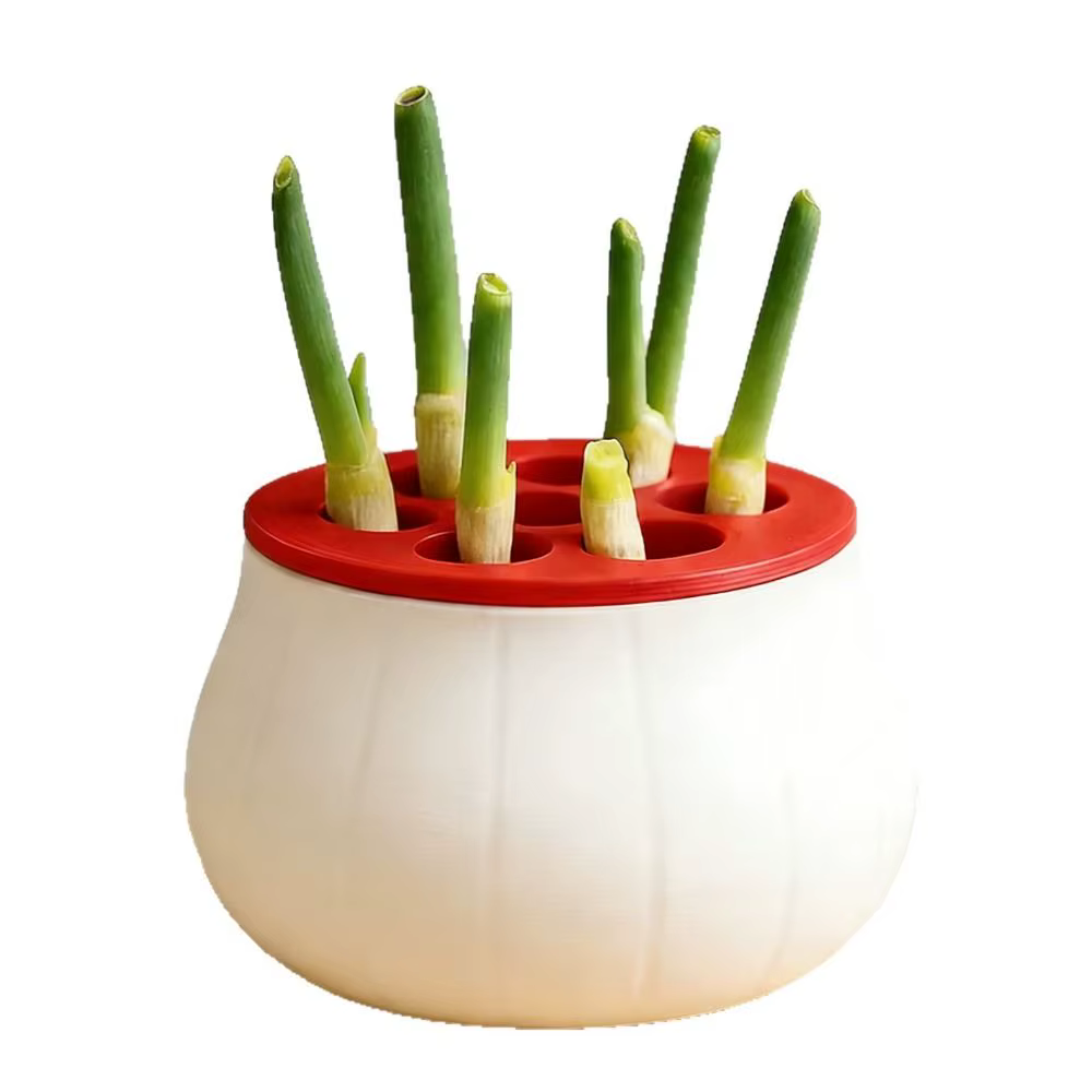 Jardinière à oignon vert à design peu encombrant