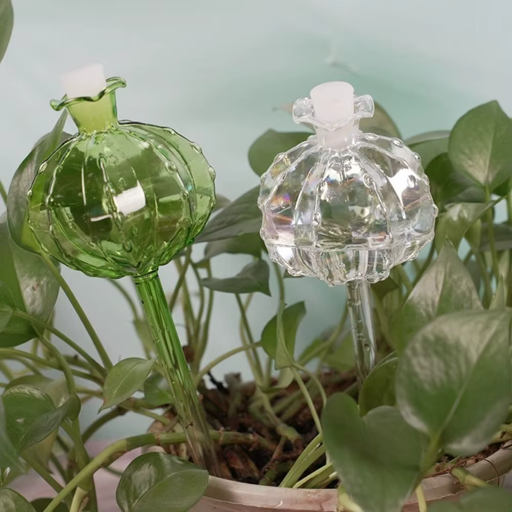 Planteur d'arrosage automatique en verre