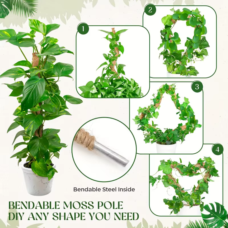 Poteau de mousse pliable pour plantes, Fiber de palmier de noix de coco, Support de plantes Monstera, fait à la main, escalade de Coco, accessoires de jardin DIY