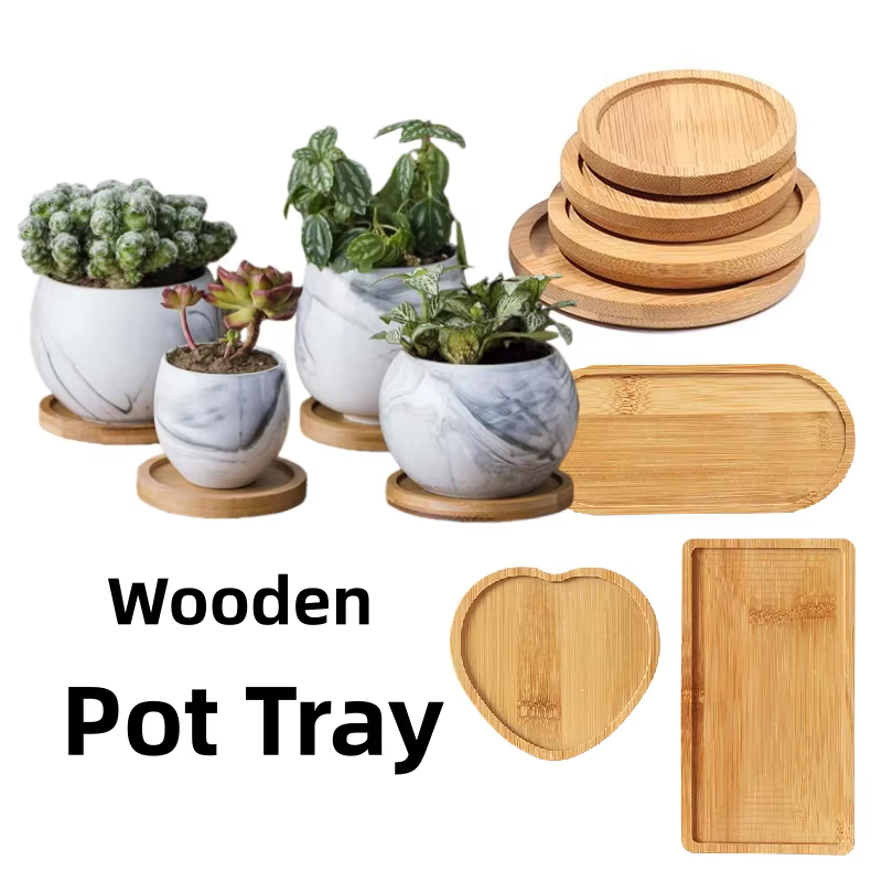 Plateau en bois maison succulente Pot Base circulaire ovale rectangulaire Pot