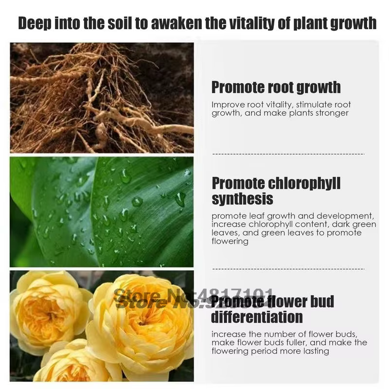 100g Monopotassium Phosphate MKP engrais Soluble dans l'eau floraison Booster pour fleurs Fruits et légumes | Aliment
