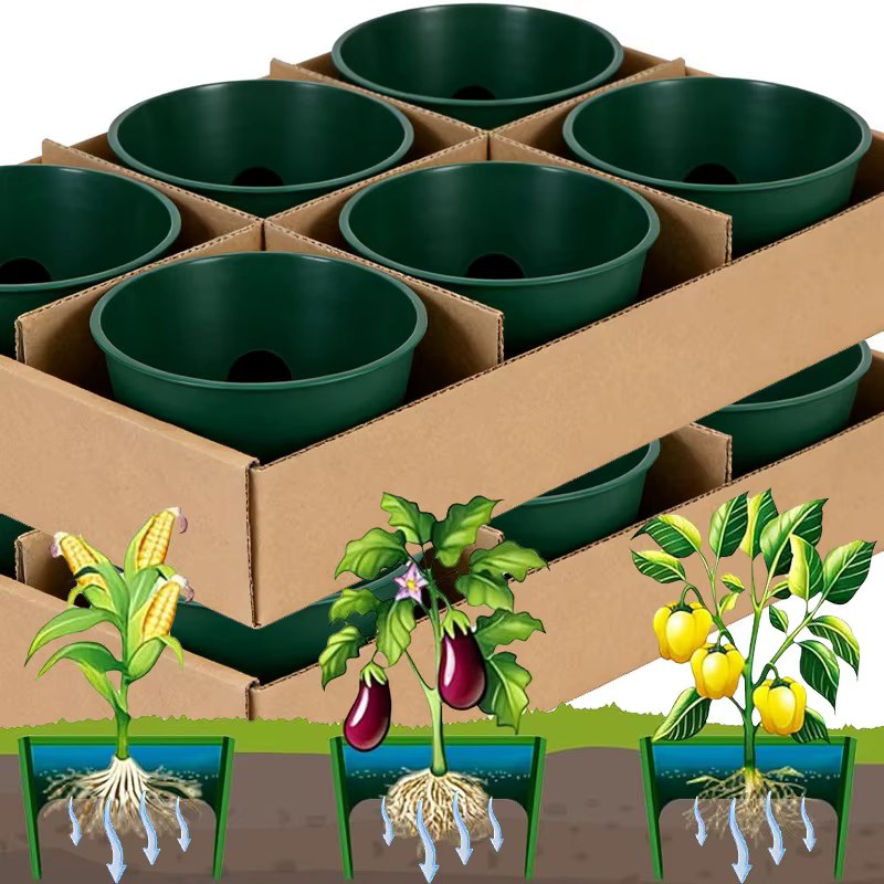 Anneaux de plantation pour arrosage profond