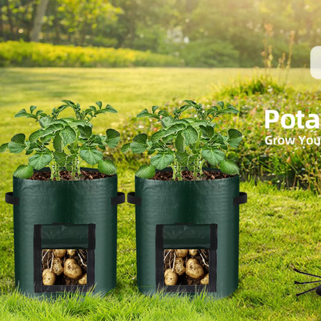 Sacs de culture pour plantes vertes